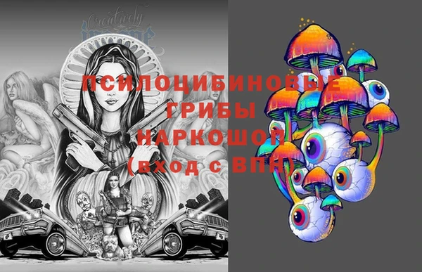 скорость Сосновка