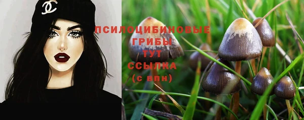 молекула духа Бронницы