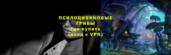 молекула духа Бронницы