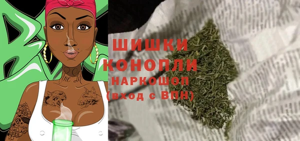 экстази Бородино
