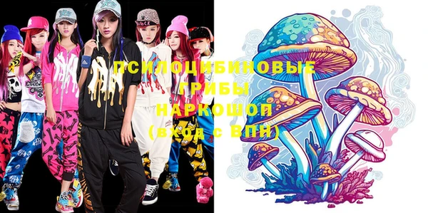 экстази Бородино