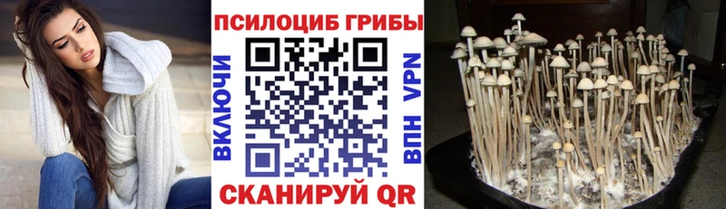 закладка  omg зеркало  Галлюциногенные грибы ЛСД  Кировград 